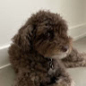 Meet your Posher, Jen